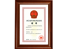 浙江省科技手艺前进二等奖