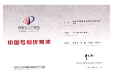 中国专利优异奖